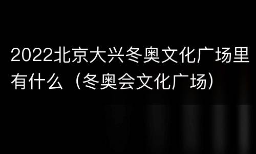 2022北京大兴冬奥文化广场里有什么（冬奥会文化广场）