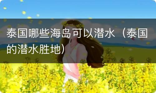 泰国哪些海岛可以潜水（泰国的潜水胜地）