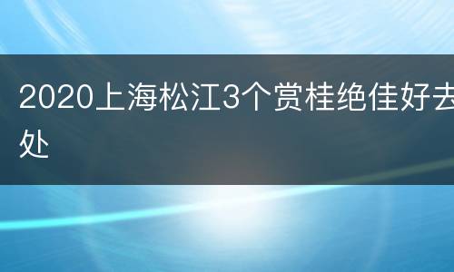 2020上海松江3个赏桂绝佳好去处