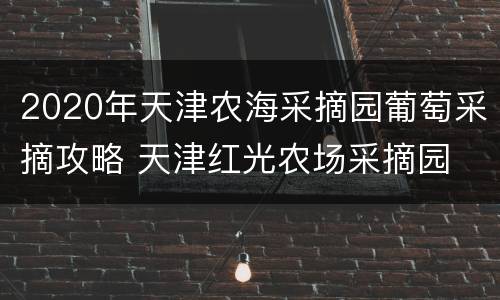 2020年天津农海采摘园葡萄采摘攻略 天津红光农场采摘园