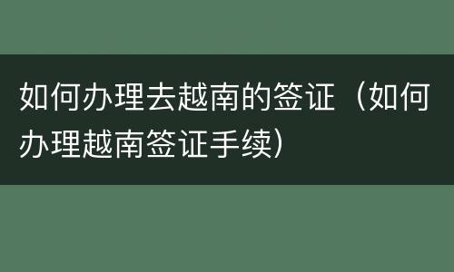 如何办理去越南的签证（如何办理越南签证手续）