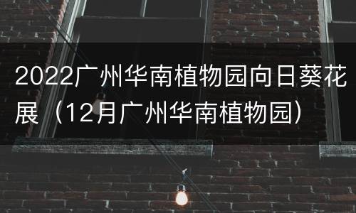 2022广州华南植物园向日葵花展（12月广州华南植物园）