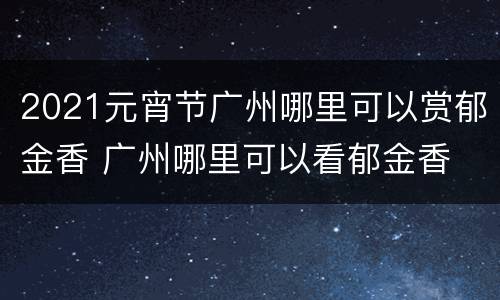 2021元宵节广州哪里可以赏郁金香 广州哪里可以看郁金香