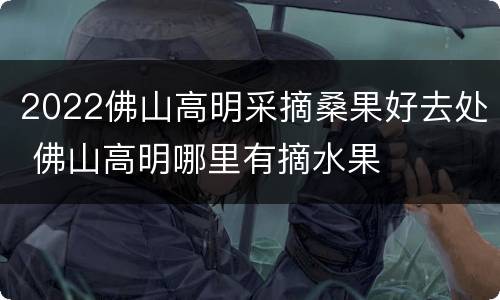 2022佛山高明采摘桑果好去处 佛山高明哪里有摘水果