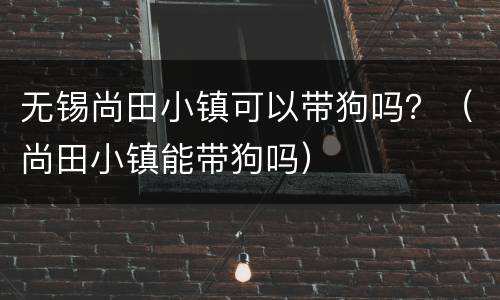 无锡尚田小镇可以带狗吗？（尚田小镇能带狗吗）