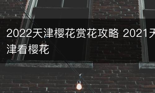 2022天津樱花赏花攻略 2021天津看樱花