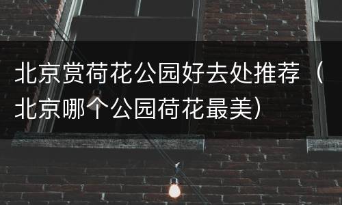 北京赏荷花公园好去处推荐（北京哪个公园荷花最美）