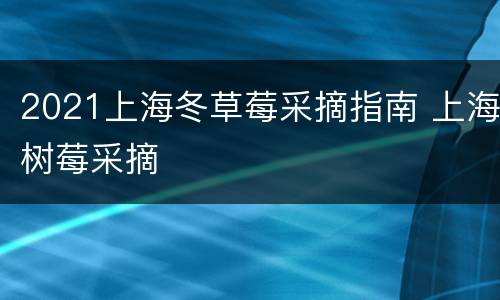 2021上海冬草莓采摘指南 上海树莓采摘