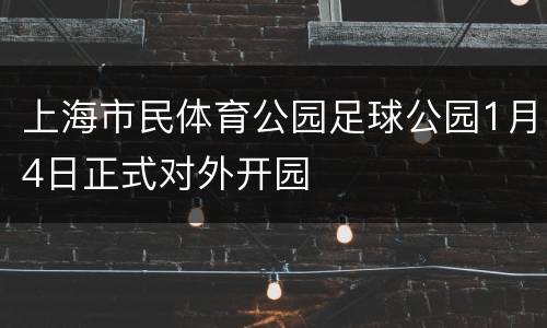 上海市民体育公园足球公园1月4日正式对外开园