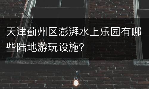 天津蓟州区澎湃水上乐园有哪些陆地游玩设施？