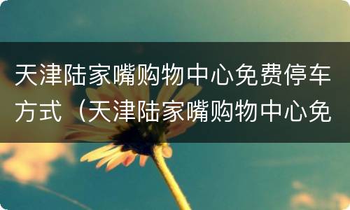 天津陆家嘴购物中心免费停车方式（天津陆家嘴购物中心免费停车方式有哪些）