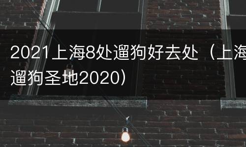 2021上海8处遛狗好去处（上海遛狗圣地2020）