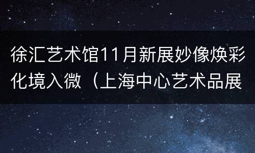 徐汇艺术馆11月新展妙像焕彩化境入微（上海中心艺术品展）