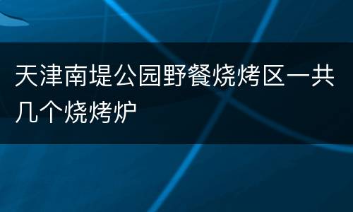 天津南堤公园野餐烧烤区一共几个烧烤炉