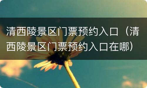 清西陵景区门票预约入口（清西陵景区门票预约入口在哪）