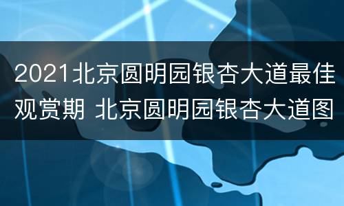 2021北京圆明园银杏大道最佳观赏期 北京圆明园银杏大道图片