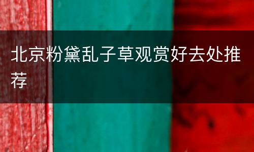 北京粉黛乱子草观赏好去处推荐