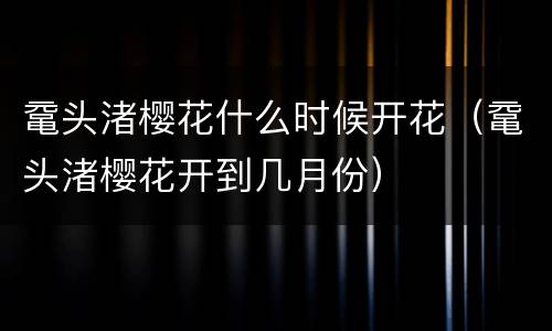 鼋头渚樱花什么时候开花（鼋头渚樱花开到几月份）