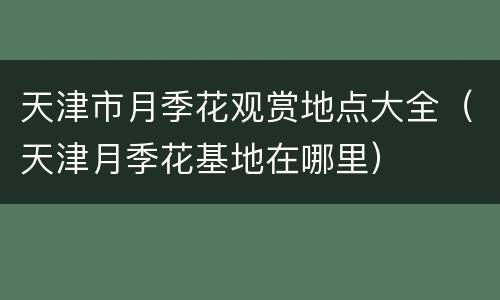 天津市月季花观赏地点大全（天津月季花基地在哪里）