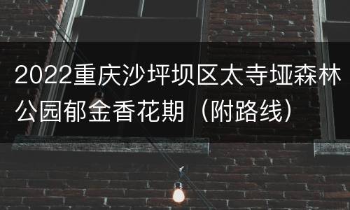2022重庆沙坪坝区太寺垭森林公园郁金香花期（附路线）