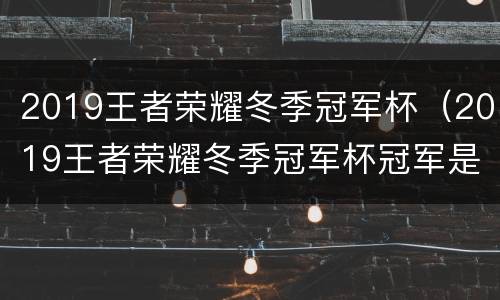 2019王者荣耀冬季冠军杯（2019王者荣耀冬季冠军杯冠军是谁）
