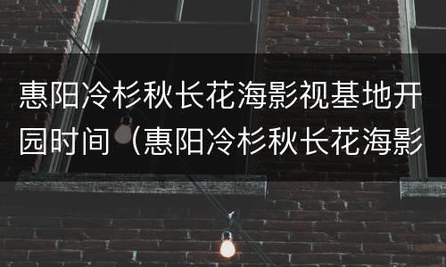 惠阳冷杉秋长花海影视基地开园时间（惠阳冷杉秋长花海影视基地门票多少钱）