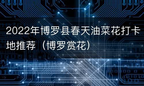 2022年博罗县春天油菜花打卡地推荐（博罗赏花）