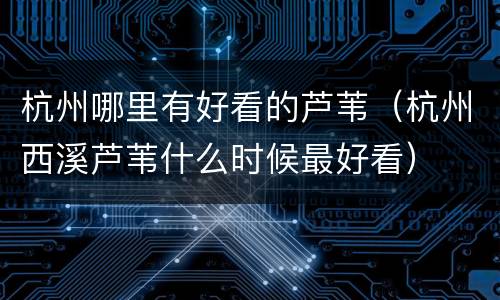 杭州哪里有好看的芦苇（杭州西溪芦苇什么时候最好看）