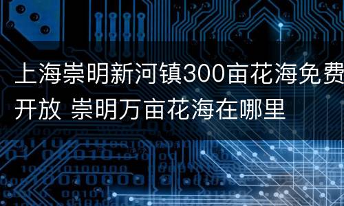 上海崇明新河镇300亩花海免费开放 崇明万亩花海在哪里