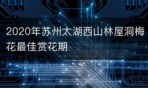 2020年苏州太湖西山林屋洞梅花最佳赏花期