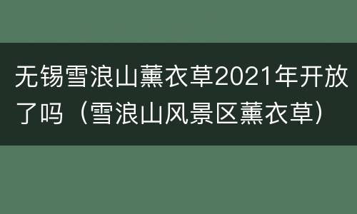 无锡雪浪山薰衣草2021年开放了吗（雪浪山风景区薰衣草）