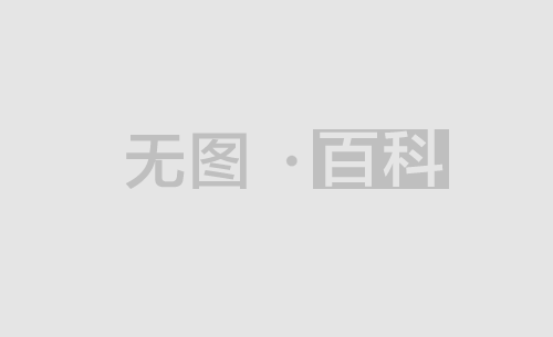 两高放行偷越国
