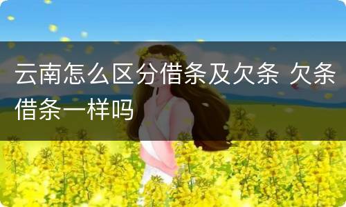 云南怎么区分借条及欠条 欠条借条一样吗