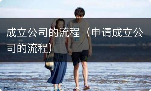 成立公司的流程（申请成立公司的流程）
