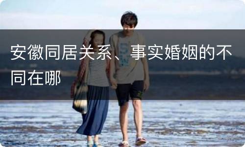 安徽同居关系、事实婚姻的不同在哪