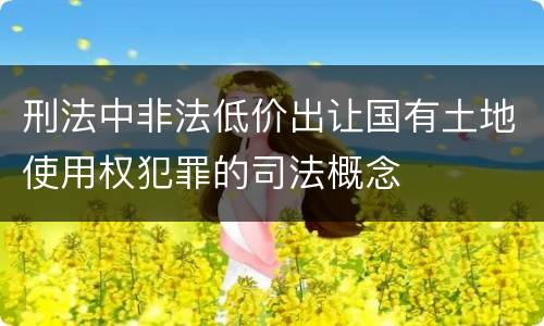 刑法中非法低价出让国有土地使用权犯罪的司法概念