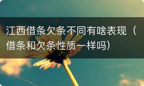 江西借条欠条不同有啥表现（借条和欠条性质一样吗）