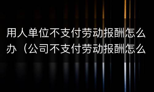用人单位不支付劳动报酬怎么办（公司不支付劳动报酬怎么办）
