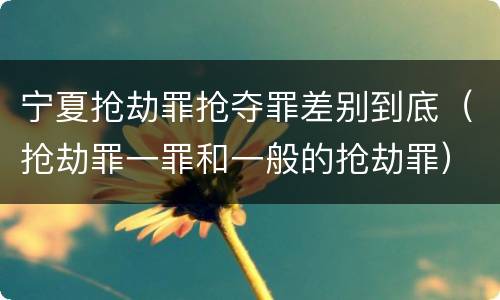 宁夏抢劫罪抢夺罪差别到底（抢劫罪一罪和一般的抢劫罪）