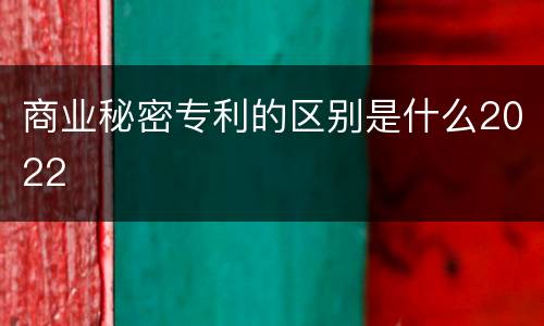 商业秘密专利的区别是什么2022