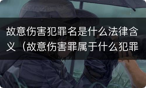 故意伤害犯罪名是什么法律含义（故意伤害罪属于什么犯罪）
