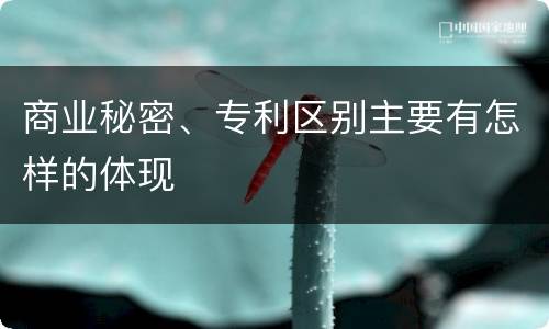 商业秘密、专利区别主要有怎样的体现