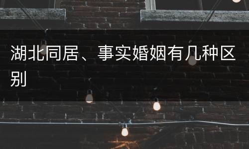 湖北同居、事实婚姻有几种区别