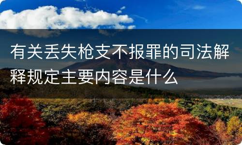 有关丢失枪支不报罪的司法解释规定主要内容是什么