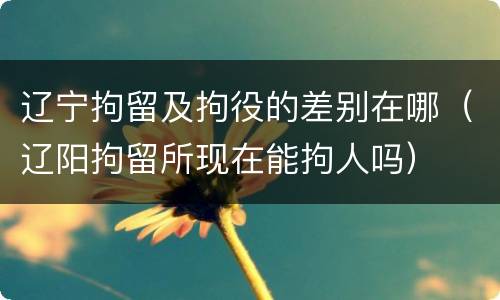 辽宁拘留及拘役的差别在哪（辽阳拘留所现在能拘人吗）