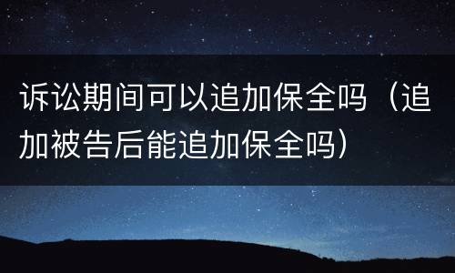 诉讼期间可以追加保全吗（追加被告后能追加保全吗）