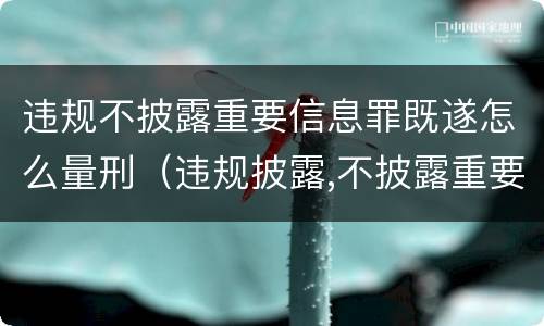 违规不披露重要信息罪既遂怎么量刑（违规披露,不披露重要信息罪构成要件）