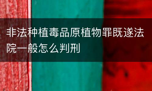 非法种植毒品原植物罪既遂法院一般怎么判刑