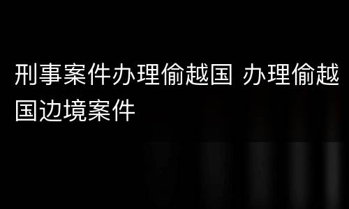 刑事案件办理偷越国 办理偷越国边境案件