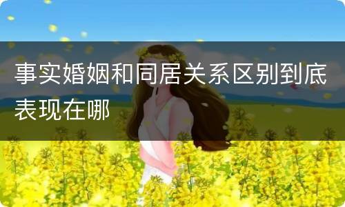 事实婚姻和同居关系区别到底表现在哪